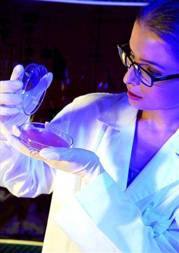 甲醇柴油配方 甲醇柴油配方